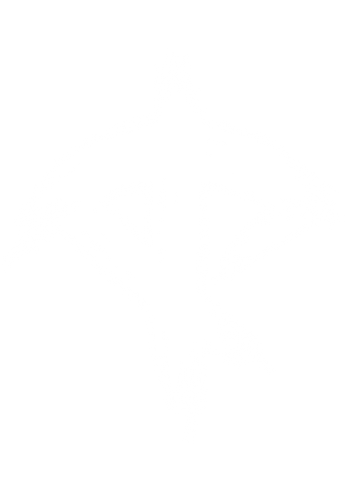 We Fall We Rise - offizieller Shop von shfty